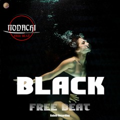 Black  | FREE BEAT | No Copyright Music | FREE DLL