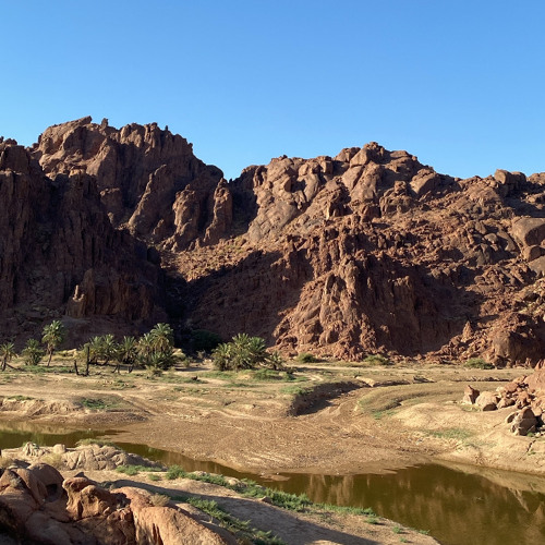 سافري لديار حائل ي مُنى -