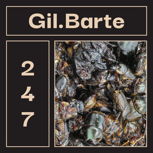 LAYER #247 | Gil.Barte