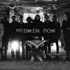 † CΛIN † - VEDMIN DOM
