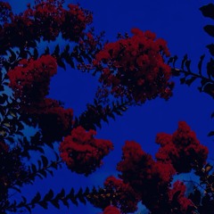 STAR DANCER GIRL (prod.iano)