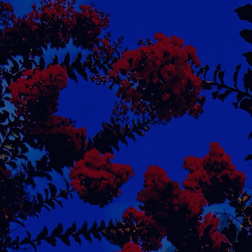 OUT OF BOUNDS (prod.nathandiorr)