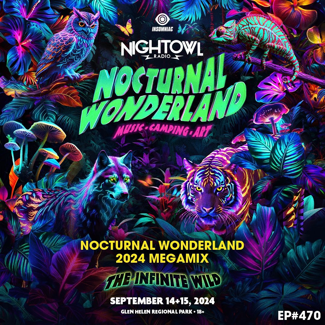 Stream Night Owl Radio 470 ft. Nocturnal Wonderland 2024 Mega-Mix