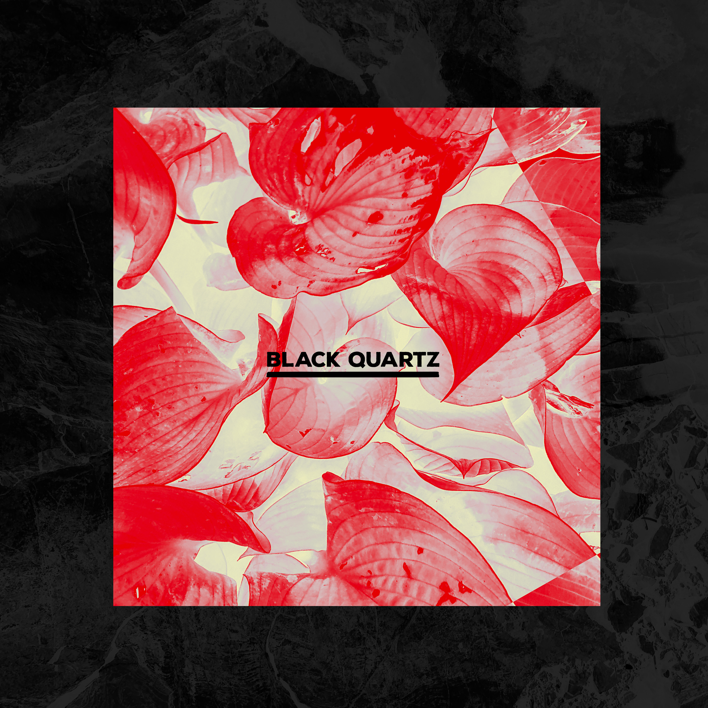 Nutriot Recordings