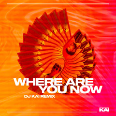 Lost Frenquencies Feat. Callum Scott - Where Are You Now (Kai McLean Remix)*SKIP 30 SECS*
