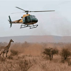 Best Kruger Helicopter Tours Montana -  Prices 2025 Reviews