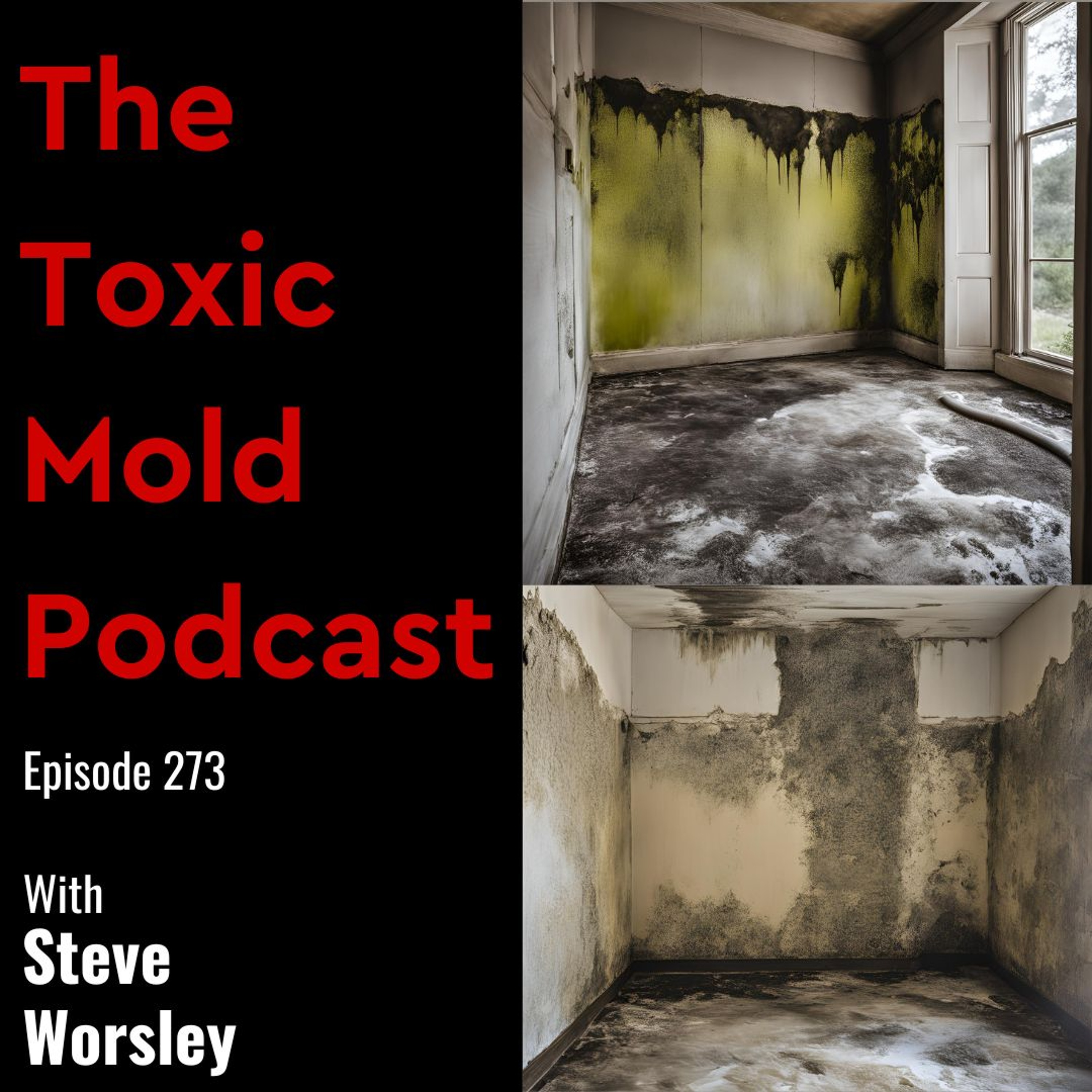 The Toxic Mold Podcast