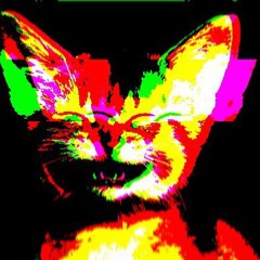 H꙲a꙲p꙲p꙲y꙲ c꙲a꙲t꙲
