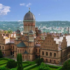 POLINA DASHKOVA - Плакала Калина (Remix Odinokiy)