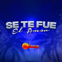 Se Te Fue el Amor