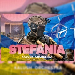 Kalush Orchestra - Stefania (Niblewild Remix)
