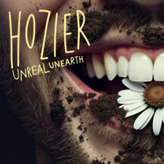Hozier - Too Sweet (SRSKV remix) COVER