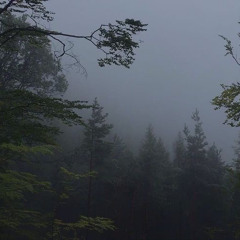 лампабикт - ирония