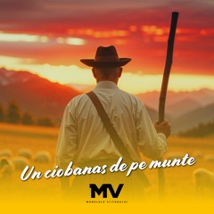 Un ciobanas de pe munte