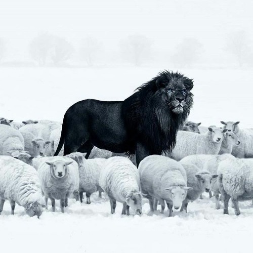 This is how I feel 144