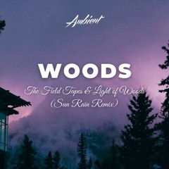 The Field Tapes & Light of Woods - Woods (Sun Rain Remix)