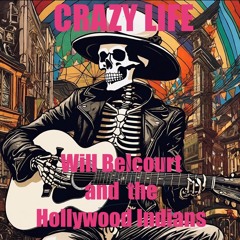 Crazy Life