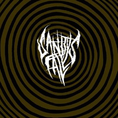 Ritual Sanity's falls cover by Zen