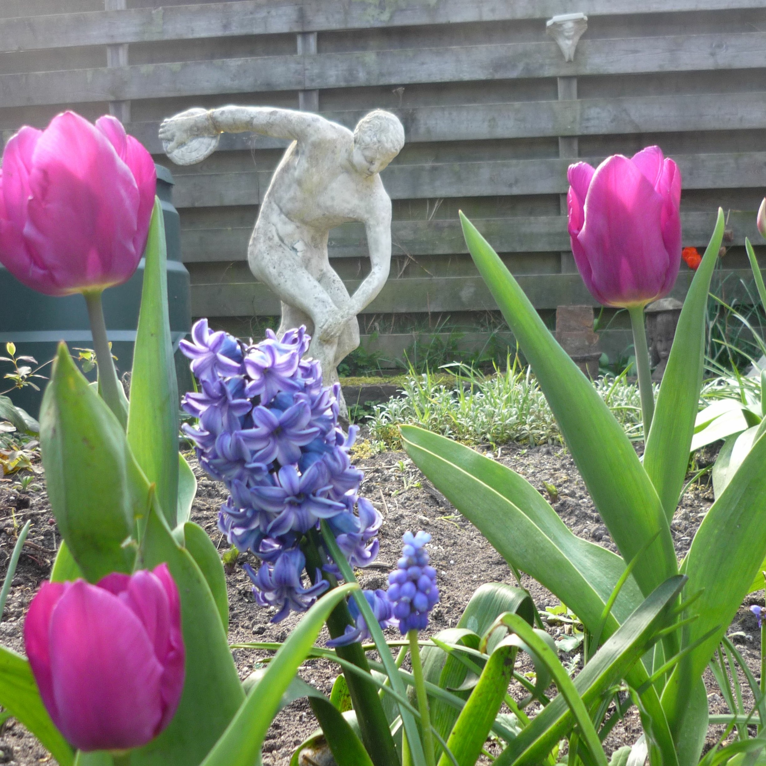 Tulpen uit Amsterdam - Arnie/Bader cuver Kift episode artwork