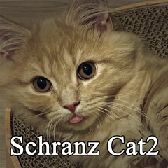 【Free Track】TKG - Schranz Cat2