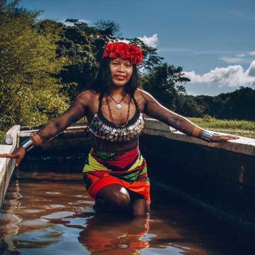 Stream La Flor De Jacinta by Embera Quera | Listen online for free on  SoundCloud