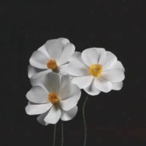 ピコン - 再生  ft. 初音ミク / Picon - Saisei (Reborn) ft. Hatsune Miku