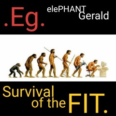 Survival of the Fit