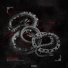 STRUOMI - OMNIVERSE (BALACK XPIATION)