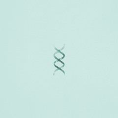 DNA