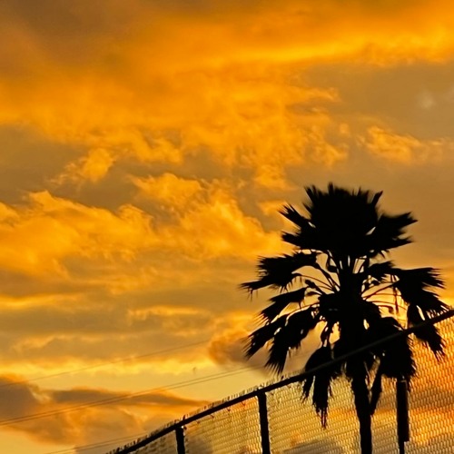 PUNCHLINE (PROD. SLASH)