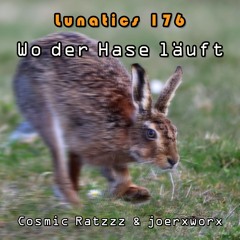 Lunatics 176 / Wo der Hase läuft / Ratzzz & joerxworx