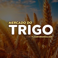 Trigo terá boas perspectivas nas exportações