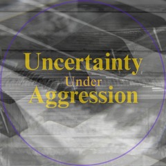 Uncertainty Under Aggression: A Waltz in C Hungarian Minor // Intermezzo Allegro // Reprise