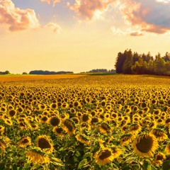 Фантазія На Беларускія Матывы