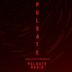 PULSATE Radio with DAV. | 015