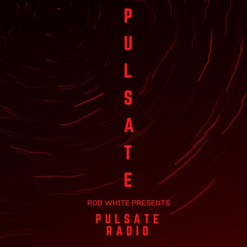 PULSATE Radio with DAV. | 015