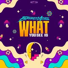 Broken Minds - What You See Is