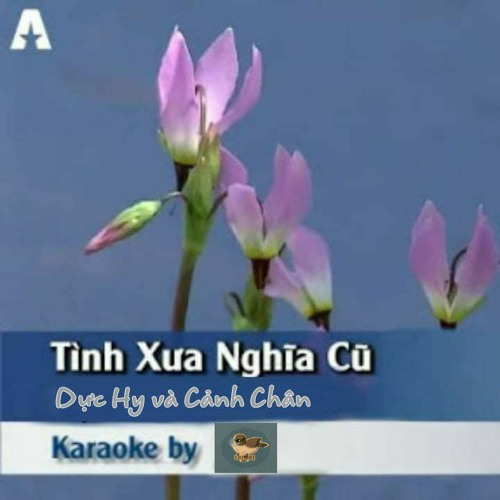 Tình xưa nghĩa cũ - Dực Hy hợp tác Cảnh Chân