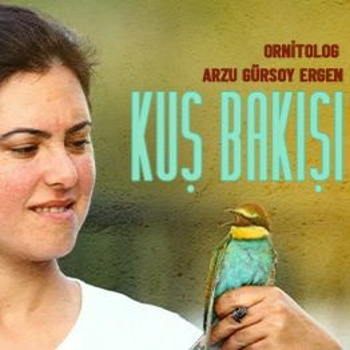Kuş Bakışı 8 - Rekortmen kıyı çamur çulluğu