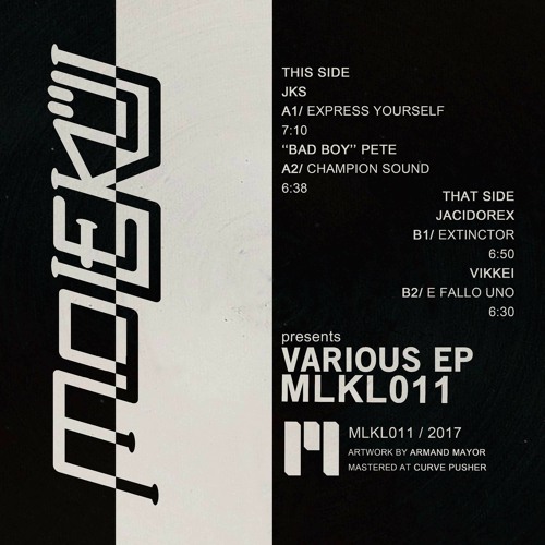 Stream Vikkei - E Fallo Uno [MLKL011] by Molekül | Listen online for free  on SoundCloud