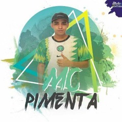 MC PIMENTA - MEDLEY SAUDADES DO RUSSINHO E DO SEM VULGO [ DJ BR DE P.A E PIMENTA PROD ] VILA SAPÊ