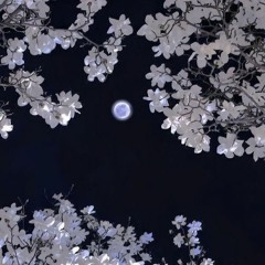 꼭두각시