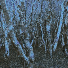 E.L.I. - Malicious Content - LF013 (10" Lathe Cut Snippets)