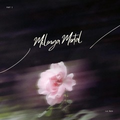 LUZ BAZA-Milonga Mortal