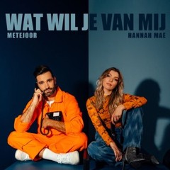 Metejoor ft. Hannah Mae - Wat Wil Je Van Mij (AP3X Bootleg)