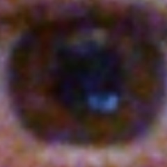 Steal My Eyes