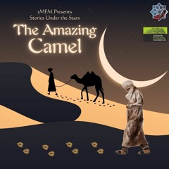 Episode 13: Stories Under the Stars - The Amazing Camel