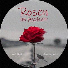 Wolf Maahn - Rosen im Asphalt (fave.wav edit)