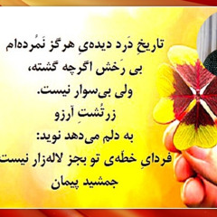 Radio Irava Dec. 7, 2025 With Mr. Hassan Habibi