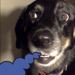 KING GOOPTA [Freestyle] (Feat. $L!M£)